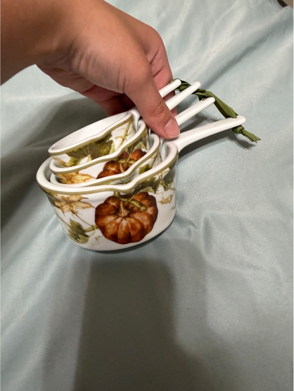 Botanical pumpkin measuring cups set